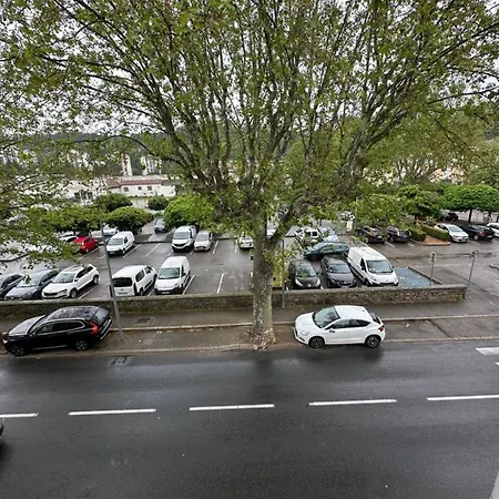 Un Brin De Pampa Vienne (Isere)